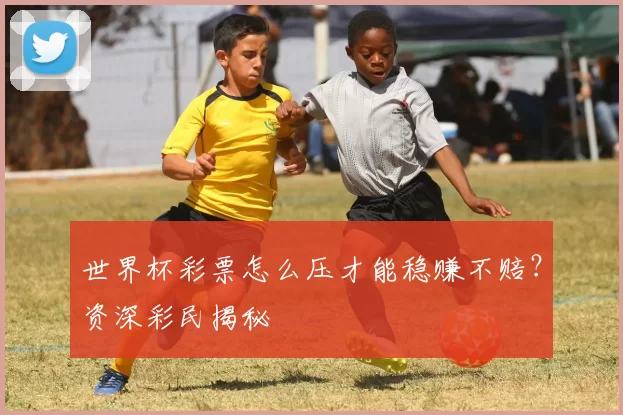 世界杯彩票怎么压才能稳赚不赔?资深彩民揭秘