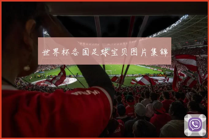 世界杯各国足球宝贝图片集锦