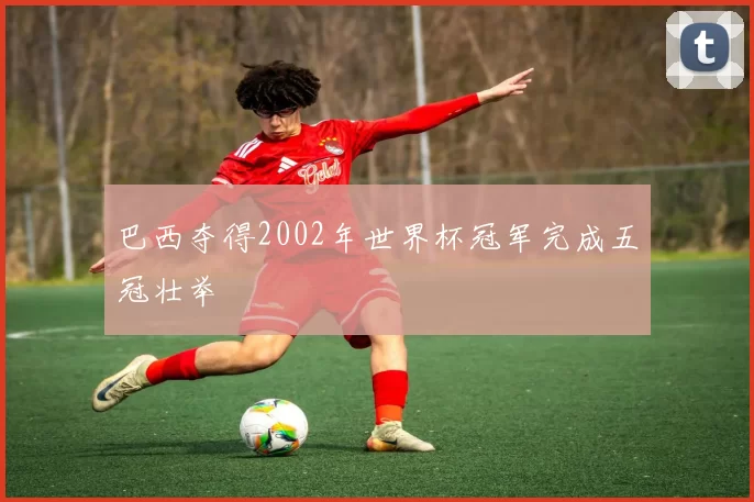 巴西夺得2002年世界杯冠军完成五冠壮举