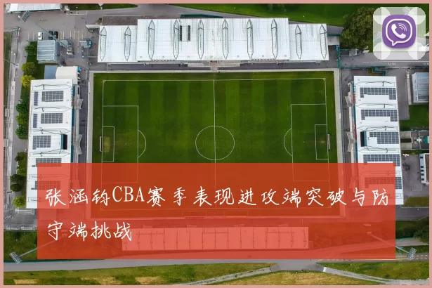 张涵钧CBA赛季表现进攻端突破与防守端挑战