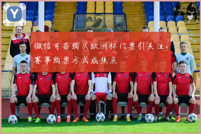 微信可否购买欧洲杯门票引关注，赛事购票方式成焦点