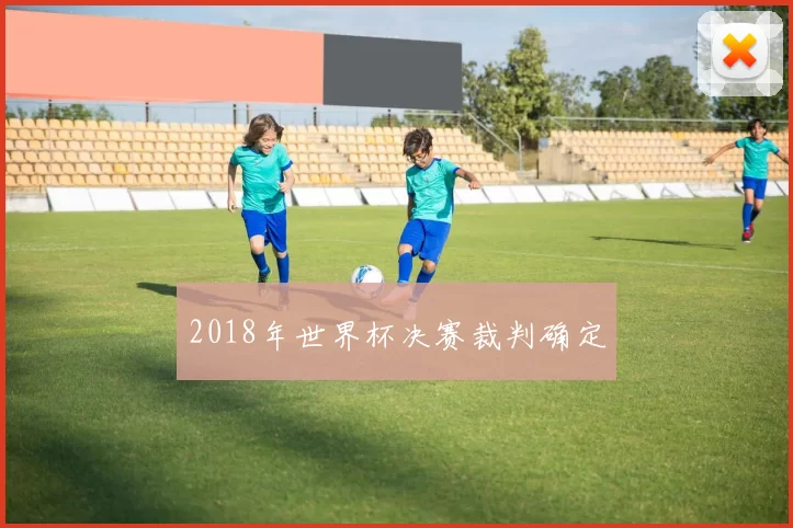 2018年世界杯决赛裁判确定
