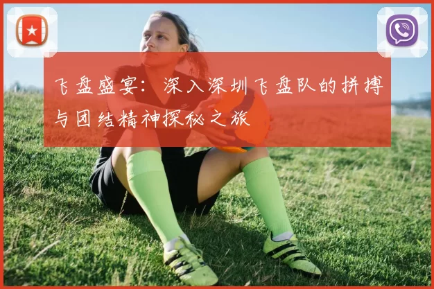 飞盘盛宴:深入深圳飞盘队的拼搏与团结精神探秘之旅