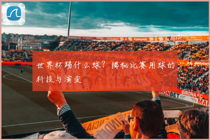 世界杯踢什么球?揭秘比赛用球的科技与演变