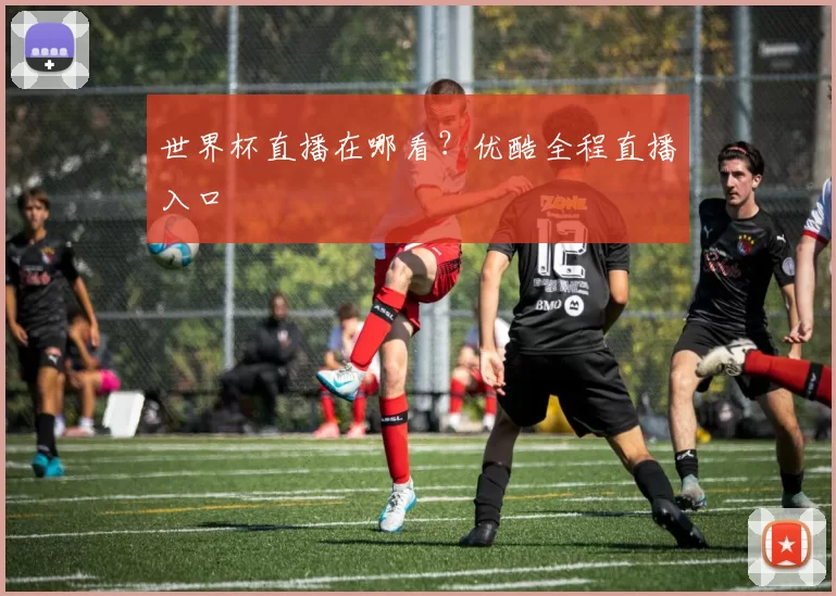 世界杯直播在哪看？优酷全程直播入口
