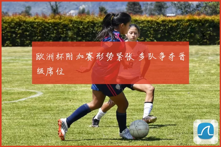 欧洲杯附加赛形势紧张 多队争夺晋级席位