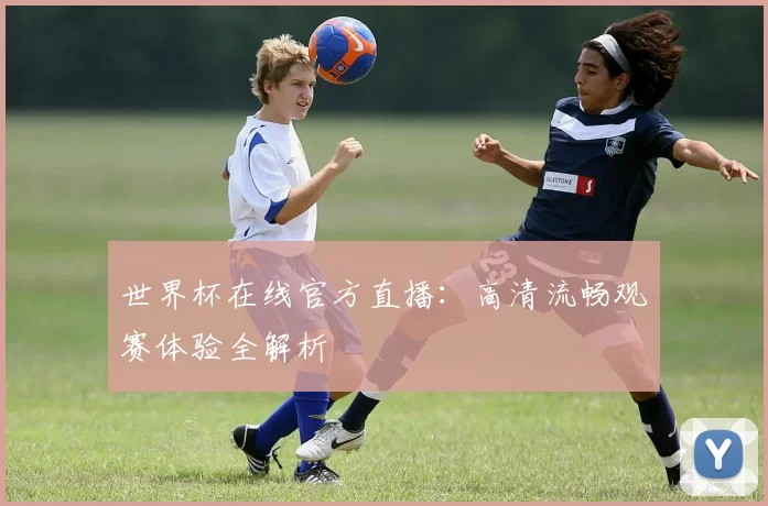 世界杯在线官方直播：高清流畅观赛体验全解析