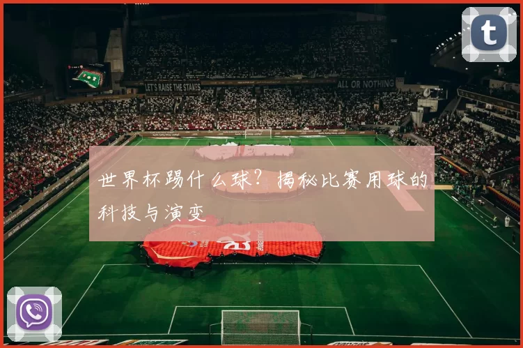 世界杯踢什么球?揭秘比赛用球的科技与演变