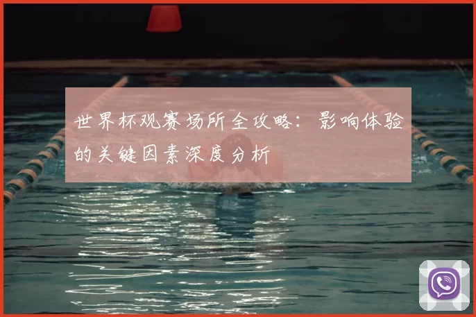 世界杯观赛场所全攻略：影响体验的关键因素深度分析