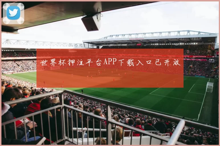 世界杯押注平台APP下载入口已开放