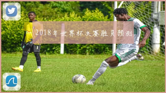 2018年世界杯决赛胜负预测